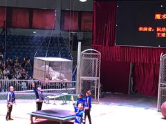 -西安秦岭野生动物园