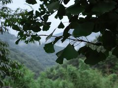 -太湖源风景区