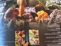 -滇野云南野生菌餐厅(陕西南路店)