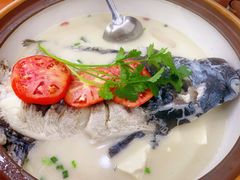 -全乐鱼馆·淳牌有机鱼直营店