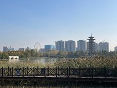 -洋湖国家湿地公园