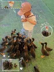 -萌宠亲子动物乐园(槐房万达店)