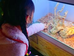 -昆明大悦城未来动物城(螺蛳湾中心店)