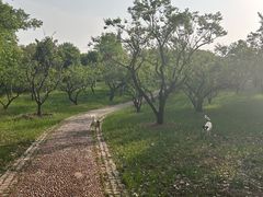 -无锡梅园公园