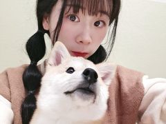 -逗柴咖啡屋·狗咖猫咖宠物桌游