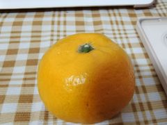 -饭怕鱼·黄焖鲟龙鱼(湖大店)