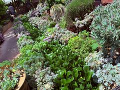 -山菌美食苑(振兴路店)