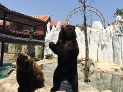 -灵玲国际马戏城
