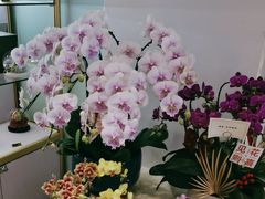 -EPOQUE·一刻花店(兴业太古汇店)