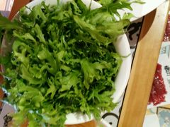 苦菊-南城十里潮汕鲜牛火锅·鲜虾生滚粥(融汇老商埠店)