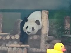 -大青山野生动物园