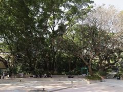 -九龙公园