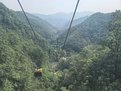 -栾川竹海野生动物园