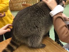-藦茜花园宠物主题亲子互动体验馆(国顺东路店)
