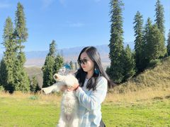 -新疆那拉提国家旅游度假区