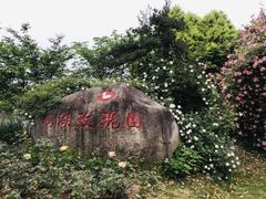 -鹅湖玫瑰文化园
