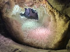 -湖南省地质博物馆