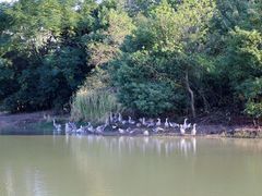 -艾溪湖湿地公园