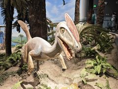 -辽宁古生物博物馆