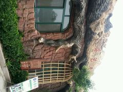 -南戴河国际娱乐中心