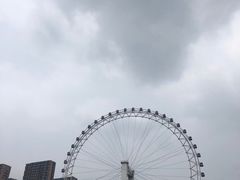 -海河游船-永乐码头(大悲院)