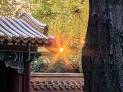 -戏马台景区