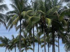 -三亚太阳湾柏悦酒店
