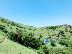 -大姆山草场