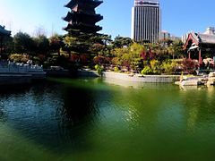 -迎泽公园