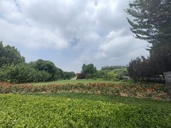 -大望京公园