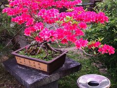 -万景茶庄·台州菜