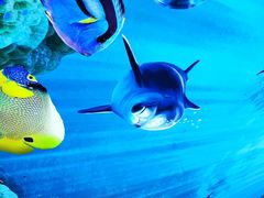 -皇马假日醉海南大酒店·假日一品派茶楼(秀英店)