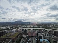 外景-长富金茂大厦