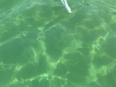 -沈阳龙润夏宫温泉水乐园