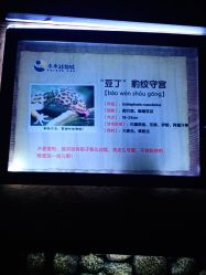 -未来动物城动物主题公园(大悦城店)