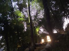 -三江森林温泉度假区