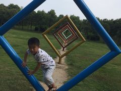 -祥源·阜阳生态乐园