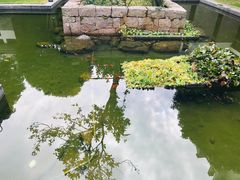 -隆荟•台州菜•粤菜