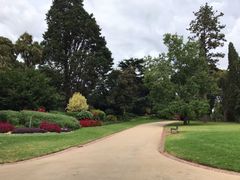 -墨尔本皇家植物园