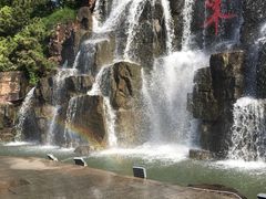 -东方绿舟景区