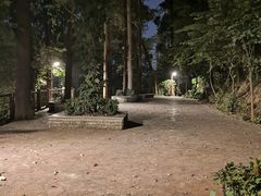 -南岗山公园