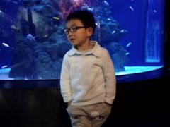 -成都浩海立方海洋公园