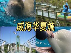 -威海华夏城景区