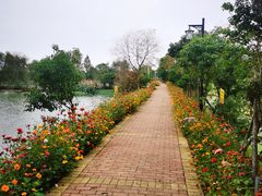 -军山湖云水间水上餐厅(进贤店)