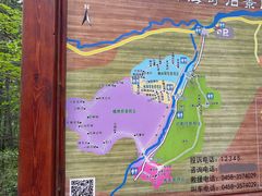 -汤旺河林海奇石景区