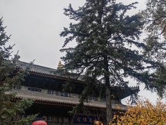 -五台山风景名胜区