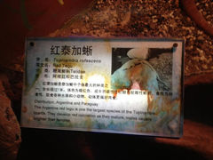 10.8-上海大自然野生昆虫馆