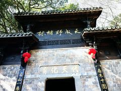 -富春桃源风景区