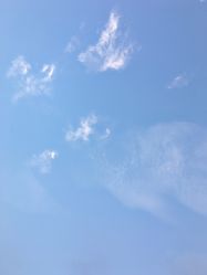 -木北造型