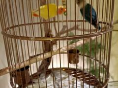 -小厨娘淮扬菜(六合欢乐港店)